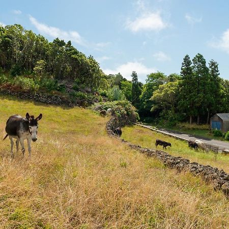 Casa Da Figueirinha Villa Calheta de Nesquim Kültér fotó